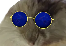:hamster_lunettes: