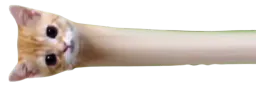 :longcou: