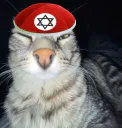 :lechatdechoah: