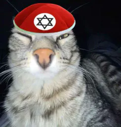 :lechatdechoah: