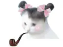 :pipe_chat: