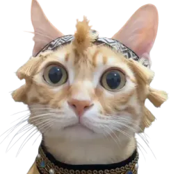 :Pineapple:
