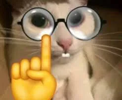 :uhm_acshually: