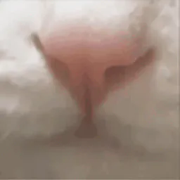 :Chat_lick: