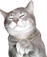 :ChatSnob: