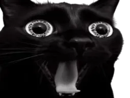 :chat_tarax: