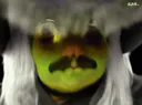 :fdvgif-vert: