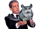 :sarko_chinchilla: