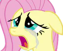 :fluttershy_pleure: