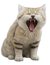 :Desertin_chat:
