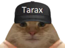 :chatarax: