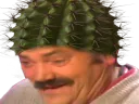 :Risicactus: