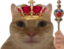 :chat_roi: