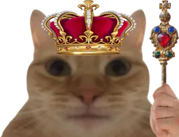 :chat_roi: