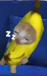 :dodoZz: