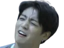 :JungPleure: