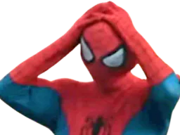 :SpiderOups3: