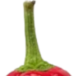 :Chat_piment_1: