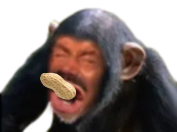 :Singe_cacahuete: