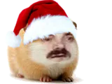 :hamster_noel: