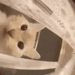 :jtemange: