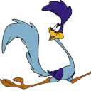 BipBipCoyotte