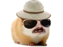 :hamster_chapeau_lunettes: