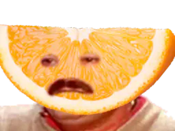 :orange_risitas: