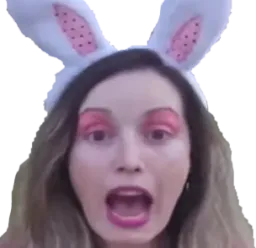 :cycy_lapin: