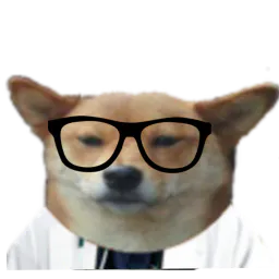 :Chien_medecin: