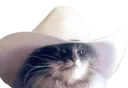 :Chat_cowboy2: