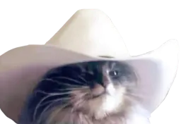 :Chat_cowboy2: