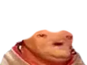 :avort: