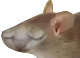 :nion:
