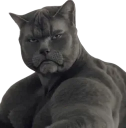 :Chat_gigachad: