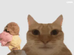 :Chat_parfum_glace: