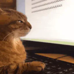:AAAAAAAA: