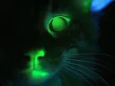 :chat_glow_: