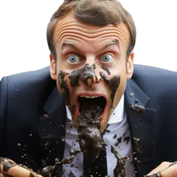 :macronmerde: