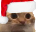 :chat_limite_noel_sansbg: