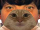 :Risicat: