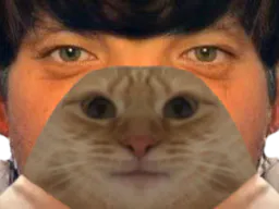 :Risicat: