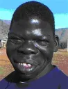 :Negresgorille: