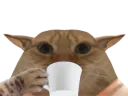 :chatboit: