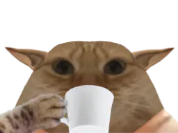 :chatboit: