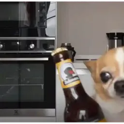 :Marloudog: