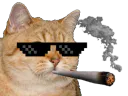 :chat_petard: