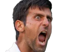 :djoko_hurle: