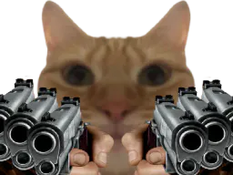 :chat6: