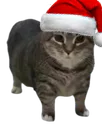 :chatnoel2: